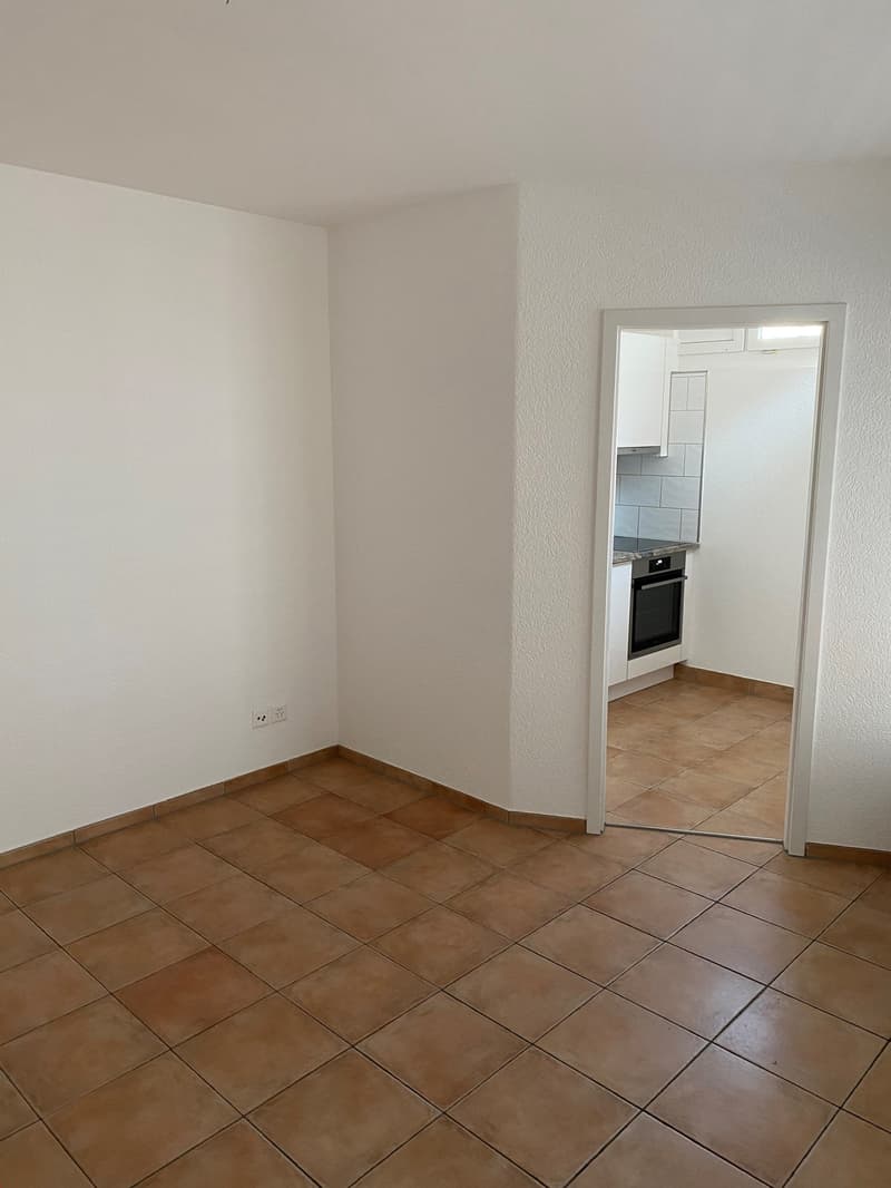 Nähe Spitäler, Biozentrum, Uni, 1-Zi-Wg 43 m2, 2. OG Lift (10)