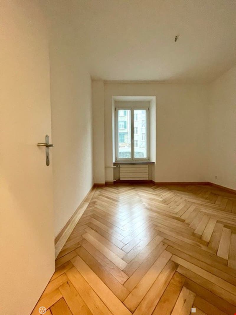 3-Zimmerwohnung Hochparterre General-Dufourstr.51 (6)