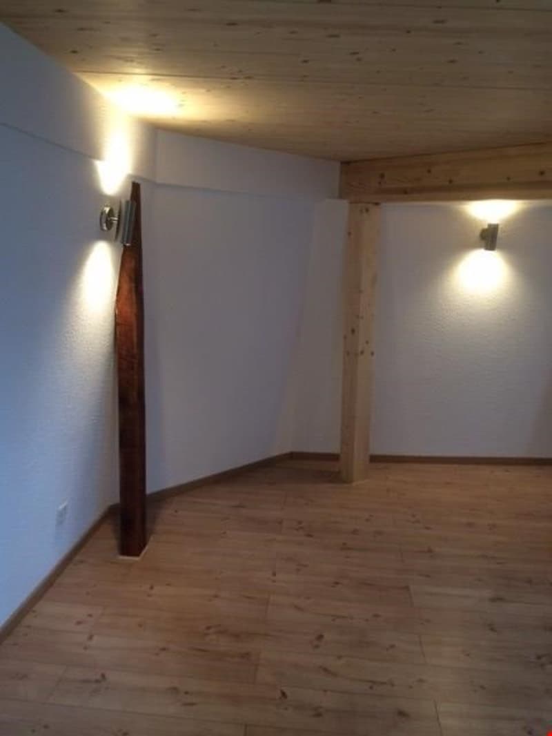 RARITÄT! Duplex-Dach-Loftwohnung, Dachterrasse, dir. Liftzugang (11)