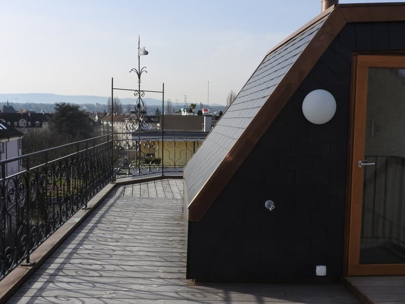 RARITÄT! Duplex-Dach-Loftwohnung, Dachterrasse, dir. Liftzugang (15)