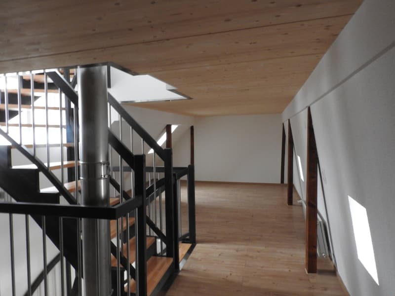 RARITÄT! Duplex-Dach-Loftwohnung, Dachterrasse, dir. Liftzugang (7)