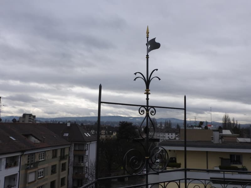 RARITÄT! Duplex-Dach-Loftwohnung, Dachterrasse, dir. Liftzugang (17)