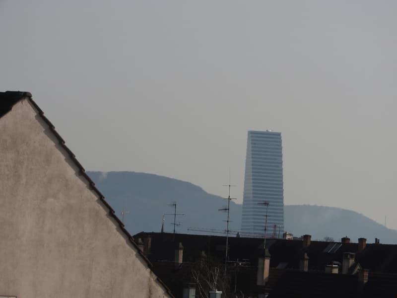 RARITÄT! Duplex-Dach-Loftwohnung, Dachterrasse, dir. Liftzugang (16)
