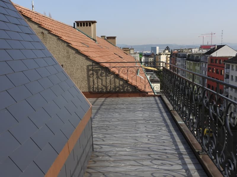 RARITÄT! Duplex-Dach-Loftwohnung, Dachterrasse, dir. Liftzugang (14)