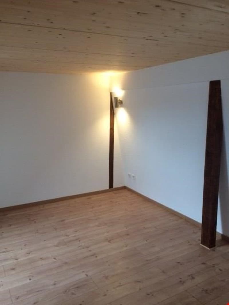 RARITÄT! Duplex-Dach-Loftwohnung, Dachterrasse, dir. Liftzugang (12)