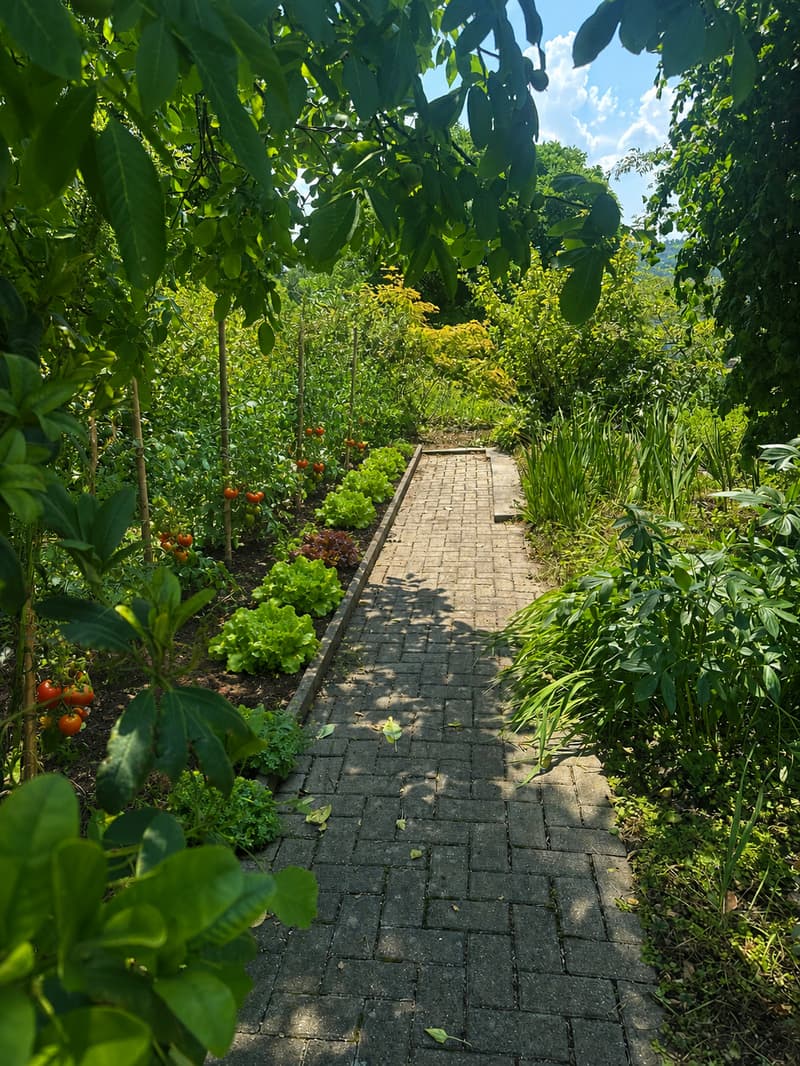 Vivere come in casa propria - mansarda con terrazza da sogno e giardino (2)