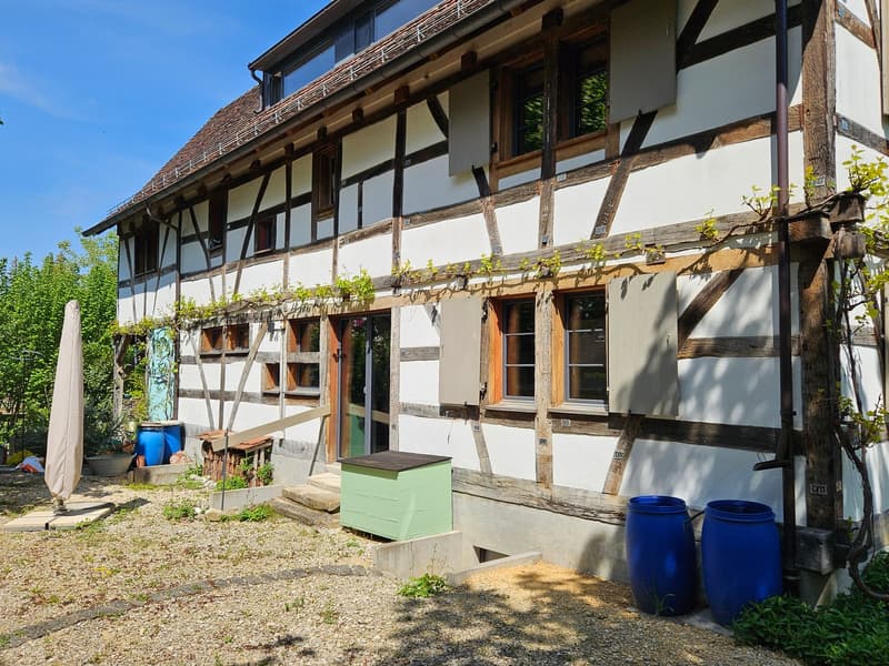 Eine unglaubliche Geschichte geht weiter....Riegelhaus zu vermieten (4)