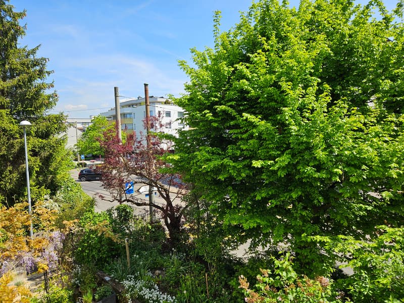Eine unglaubliche Geschichte geht weiter....Riegelhaus zu vermieten (16)