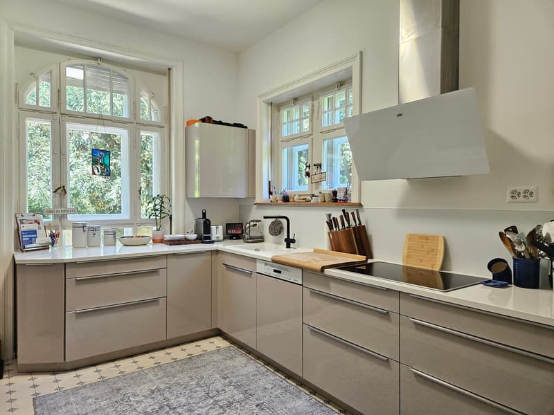 Repräsentative Villa mit 11 Zimmern an bester Lage in Basel (3)