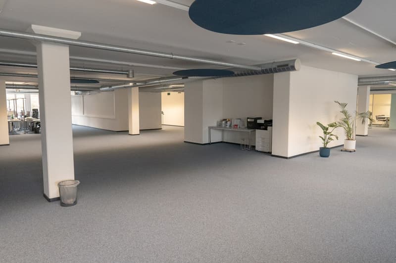 Il tuo nuovo ufficio a Dreispitz-Areal – dove le idee trovano spazio! (5)