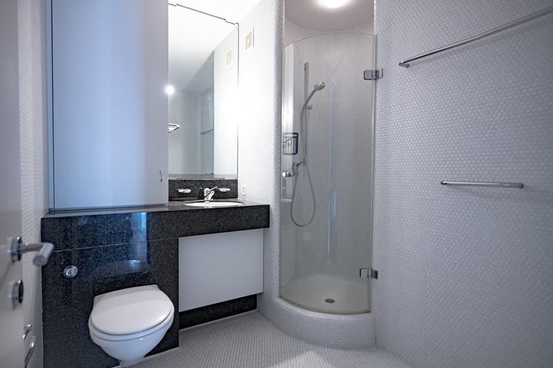 Modern bathroom with black granite vanity, white toilet, and glass-enclosed shower with white hexagonal tile walls