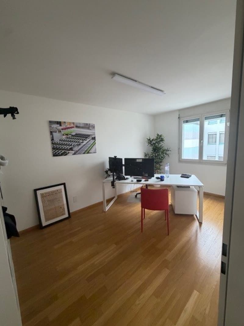 Desk, computer monitors, chair, frame, window, potted plant, light