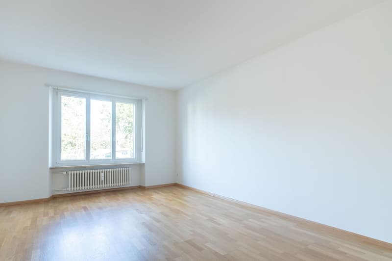 Empty room, white walls, wooden floor, white radiator, window
