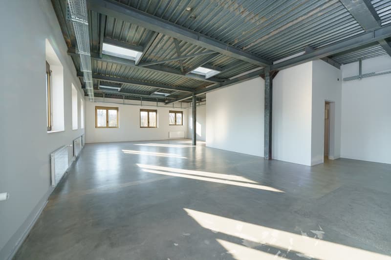 Empty room, concrete floor, white walls, metal ceiling, windows, radiators