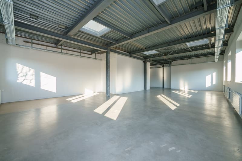 Empty room with concrete floor, white walls, metal beams, and windows