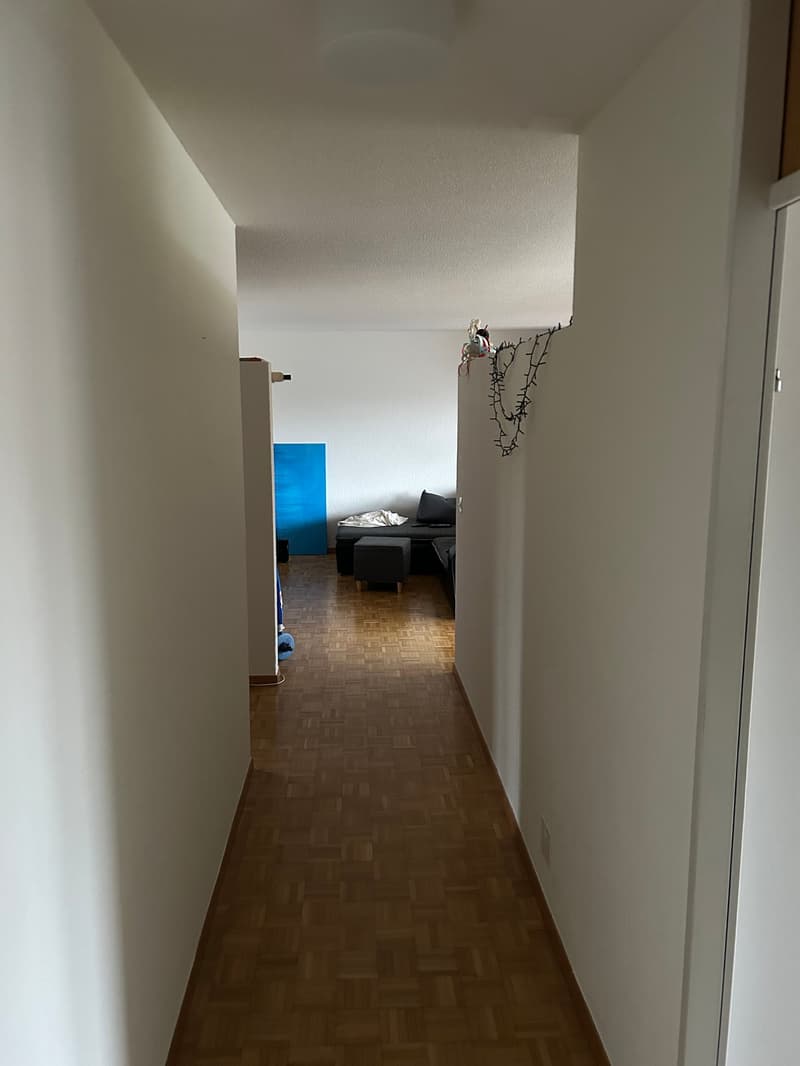 Empty hallway with wooden floor, white walls, and a ceiling light