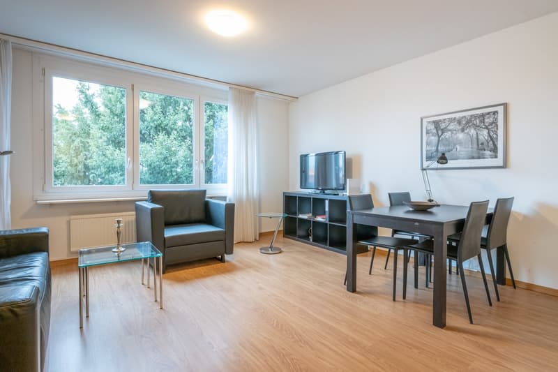Welcome to Mittlere Strasse 142 in Basel! (1)