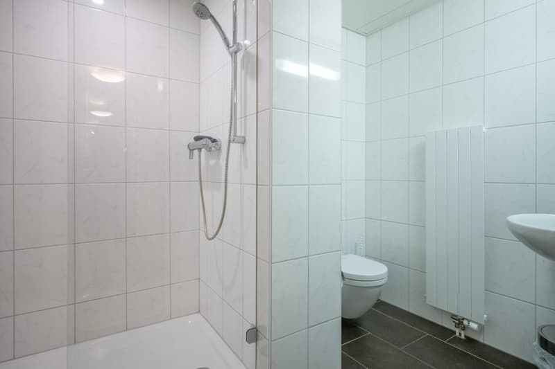 Welcome to Mittlere Strasse 142 in Basel! (4)