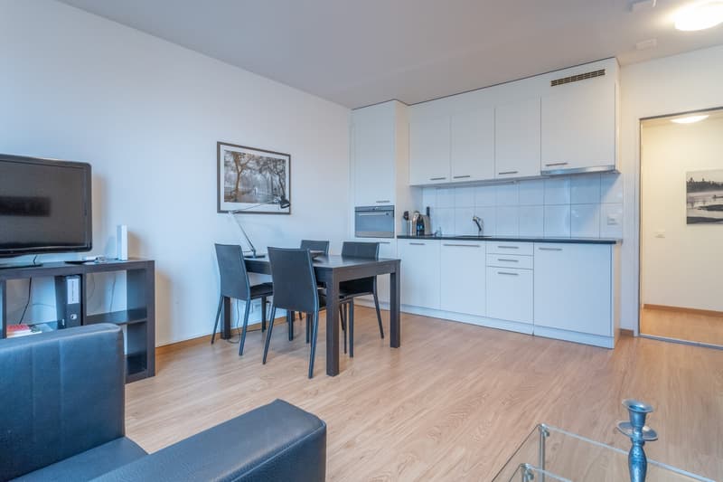 Welcome to Mittlere Strasse 142 in Basel! (2)