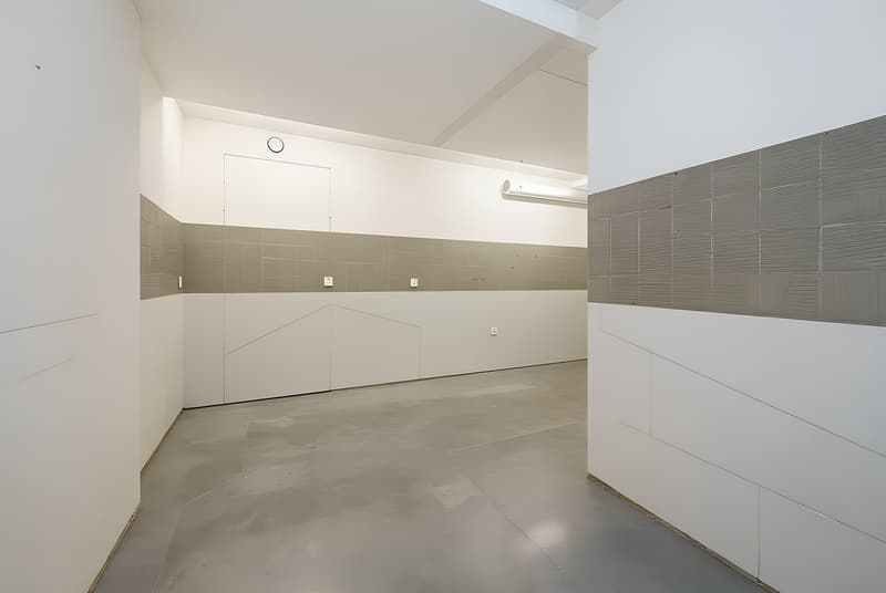 Spazio commerciale / di dettaglio in posizione centrale a Füllinsdorf (9)