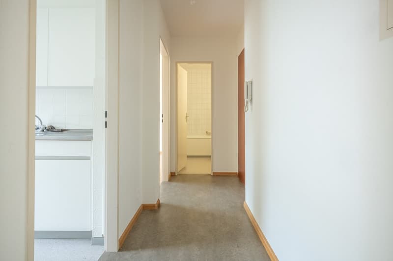 Appartamento accogliente di 2 camere con balcone ad Allschwil (3)