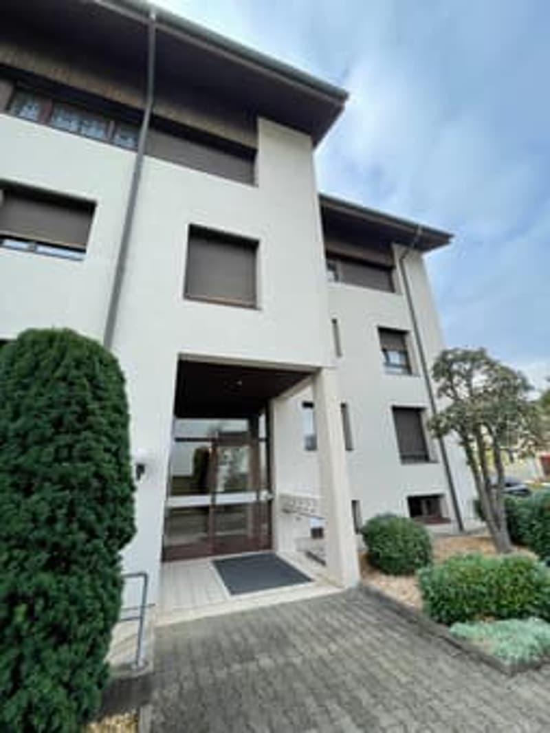 Charming 2-room attic apartment with balcony in Frenkendorf (1)
