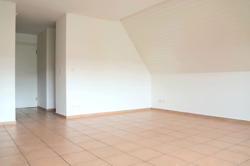 Charming 3-room maisonette apartment in Biel-Benken (4)
