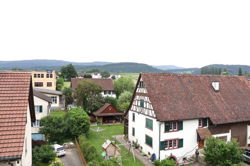 Charming 3-room maisonette apartment in Biel-Benken (11)