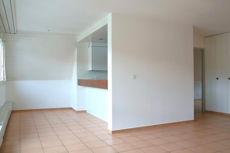 Charming 3-room maisonette apartment in Biel-Benken (3)
