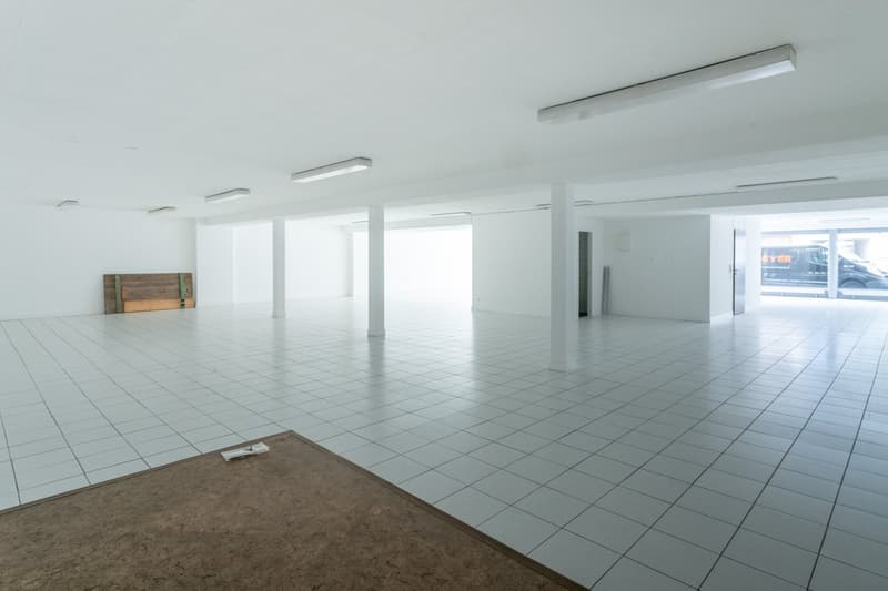 Superficie parziale a Riehen in affitto (40 - 262 m2) (2)