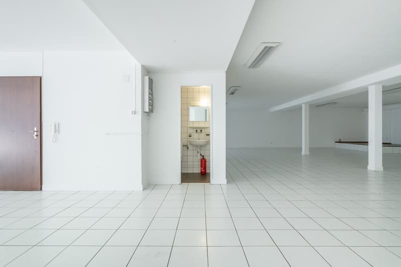 Superficie parziale a Riehen in affitto (40 - 262 m2) (4)