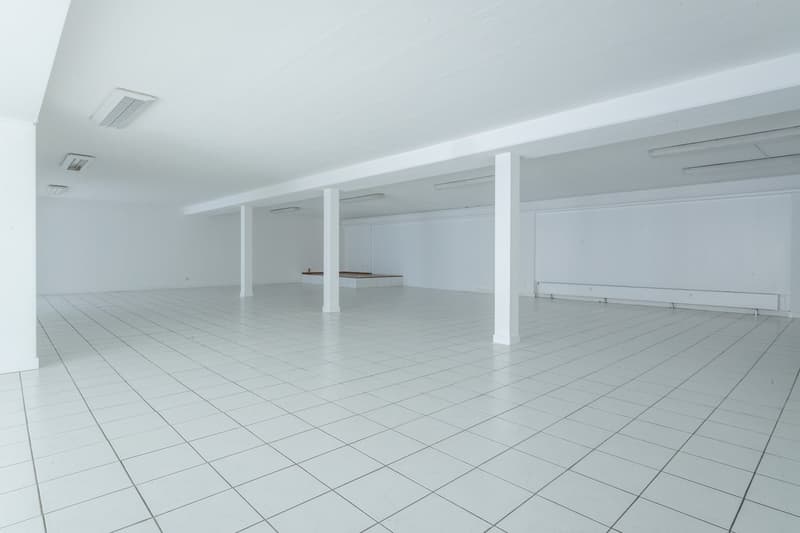 Superficie parziale a Riehen in affitto (40 - 262 m2) (7)