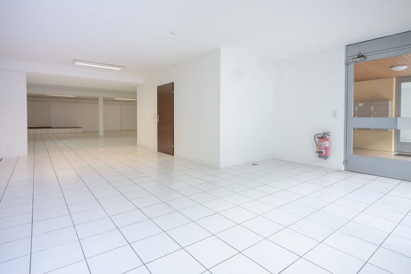 Superficie parziale a Riehen in affitto (40 - 262 m2) (5)