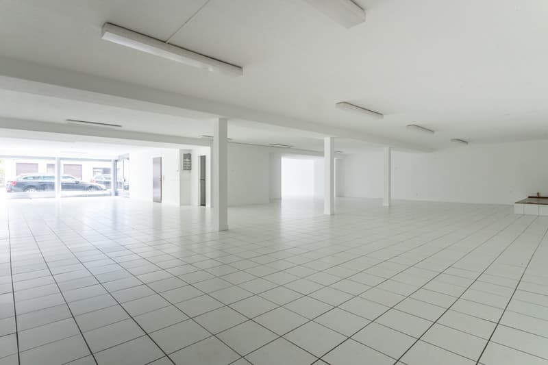 Superficie parziale a Riehen in affitto (40 - 262 m2) (1)