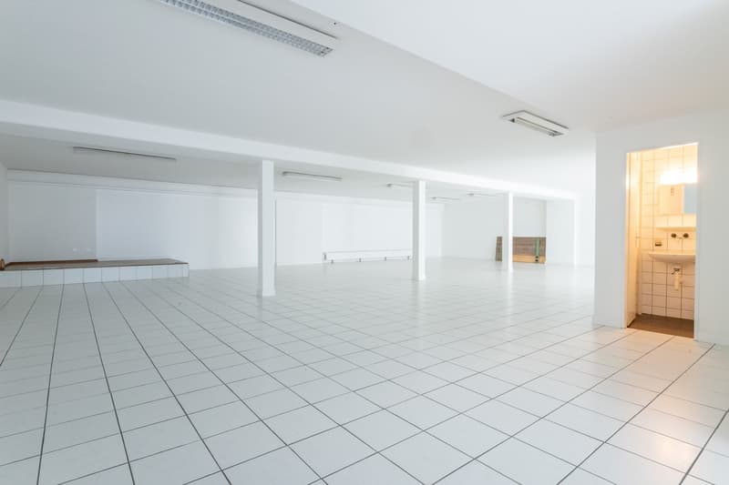 Superficie parziale a Riehen in affitto (40 - 262 m2) (9)