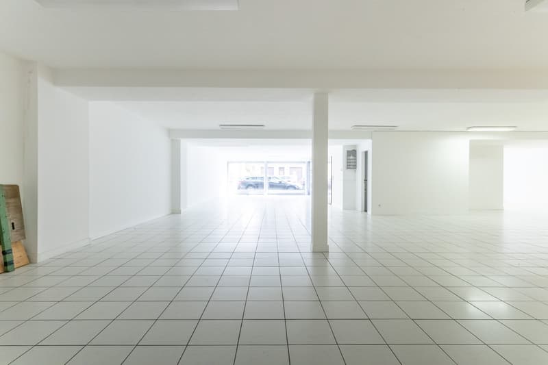 Superficie parziale a Riehen in affitto (40 - 262 m2) (6)