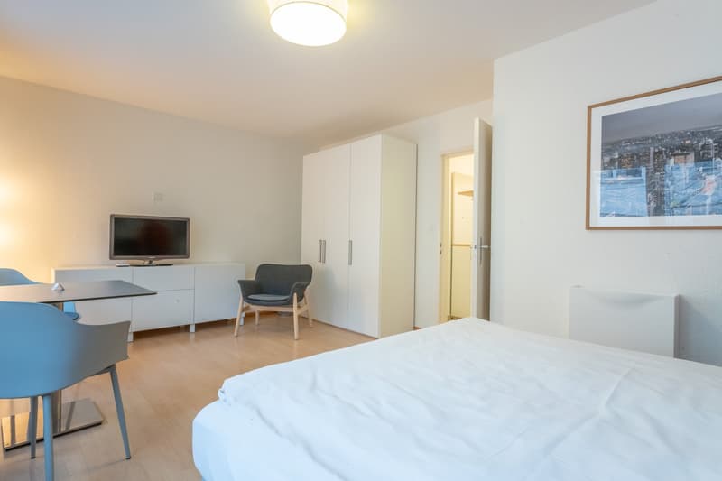 Willkommen am Herrengrabenweg 15 in Basel! (2)