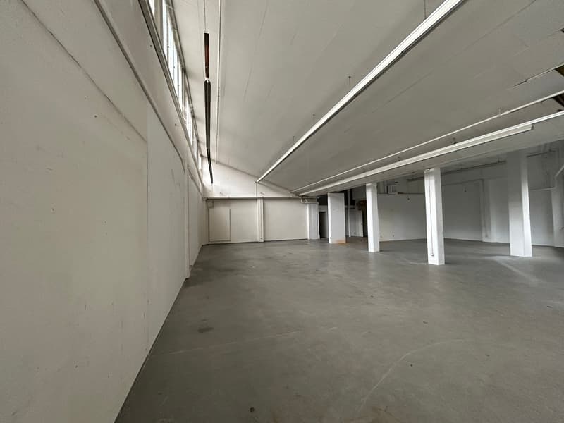 235 m2 Gewerbe (Zwischennutzung) (3)