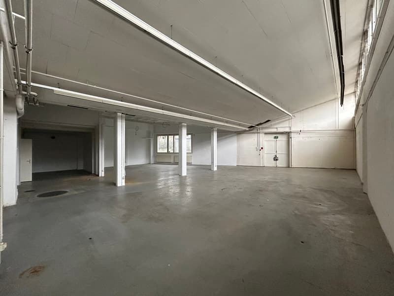 235 m2 Gewerbe (Zwischennutzung) (2)
