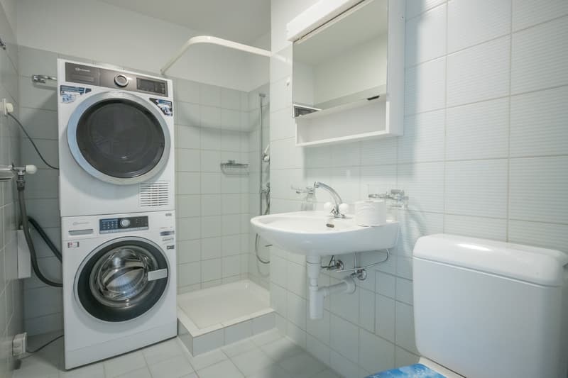 Grosszügige Maisonette-Wohnung mit toller Dachterrasse (4)