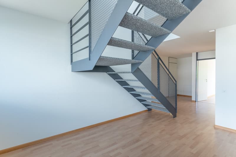 Grosszügige Maisonette-Wohnung mit toller Dachterrasse (10)