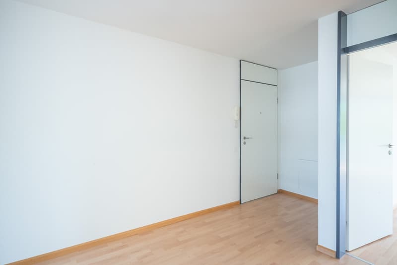 Grosszügige Maisonette-Wohnung mit toller Dachterrasse (9)