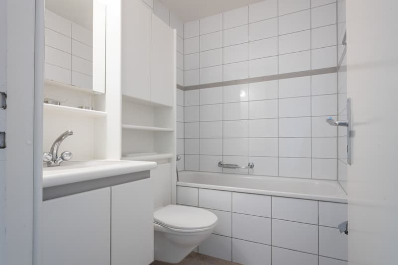 Wohnen im Neubad-Quartier (3)