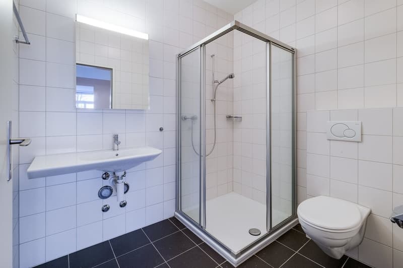 Loft am Bachufer (3)
