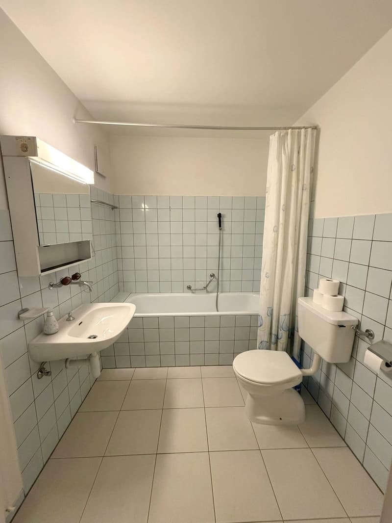 Gemütliche 2-Zimmer-Wohnung im Erdgeschoss in Basel (5)