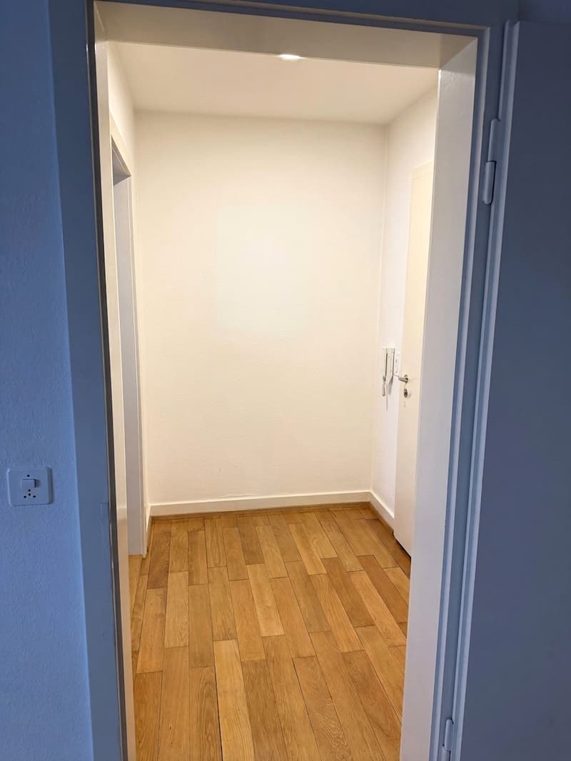Gemütliche 2-Zimmer-Wohnung im Erdgeschoss in Basel (4)
