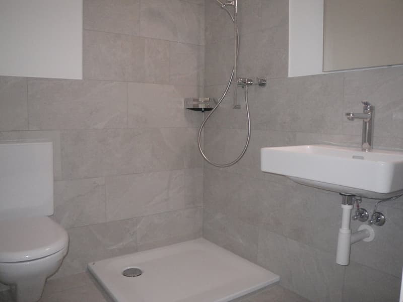 Bello appartamento di 4.5 locali a Bettlach, 2° piano (9)