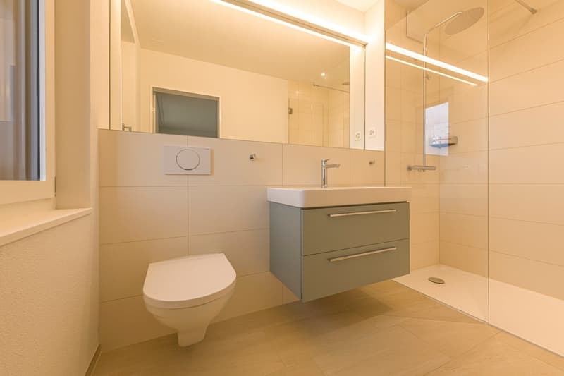 4.5 Zimmer Wohnung 2.OG Attika (13)