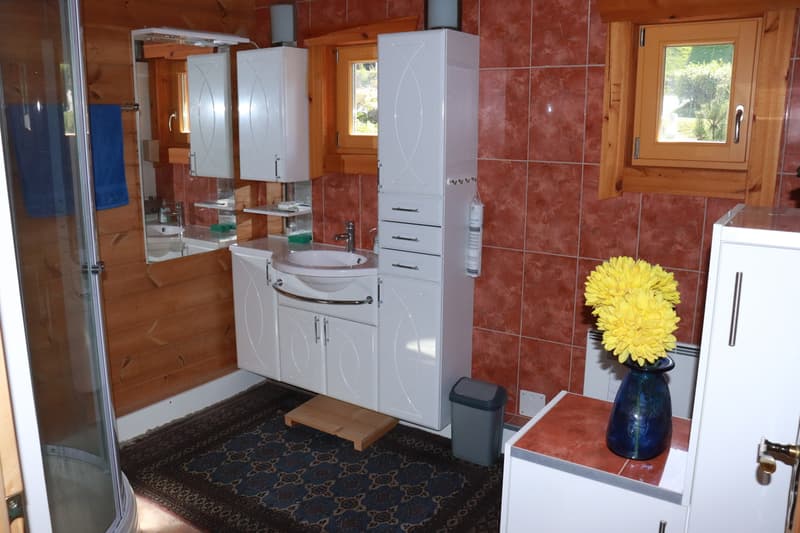 Dream Chalet in Nax Wallis (10)