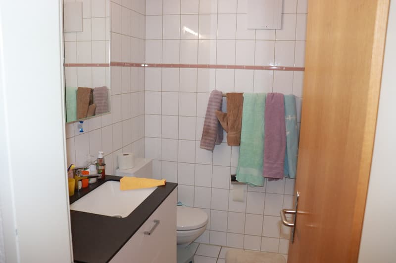 Appartement attractif avec terrasse et place de parking à Meiringen! (6)